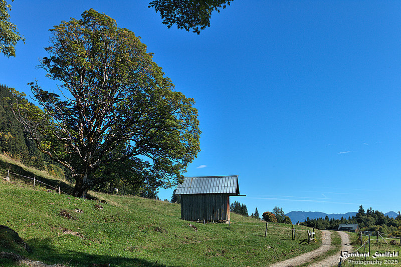 Bernhard Saalfeld - Wiesachweg (3v9)